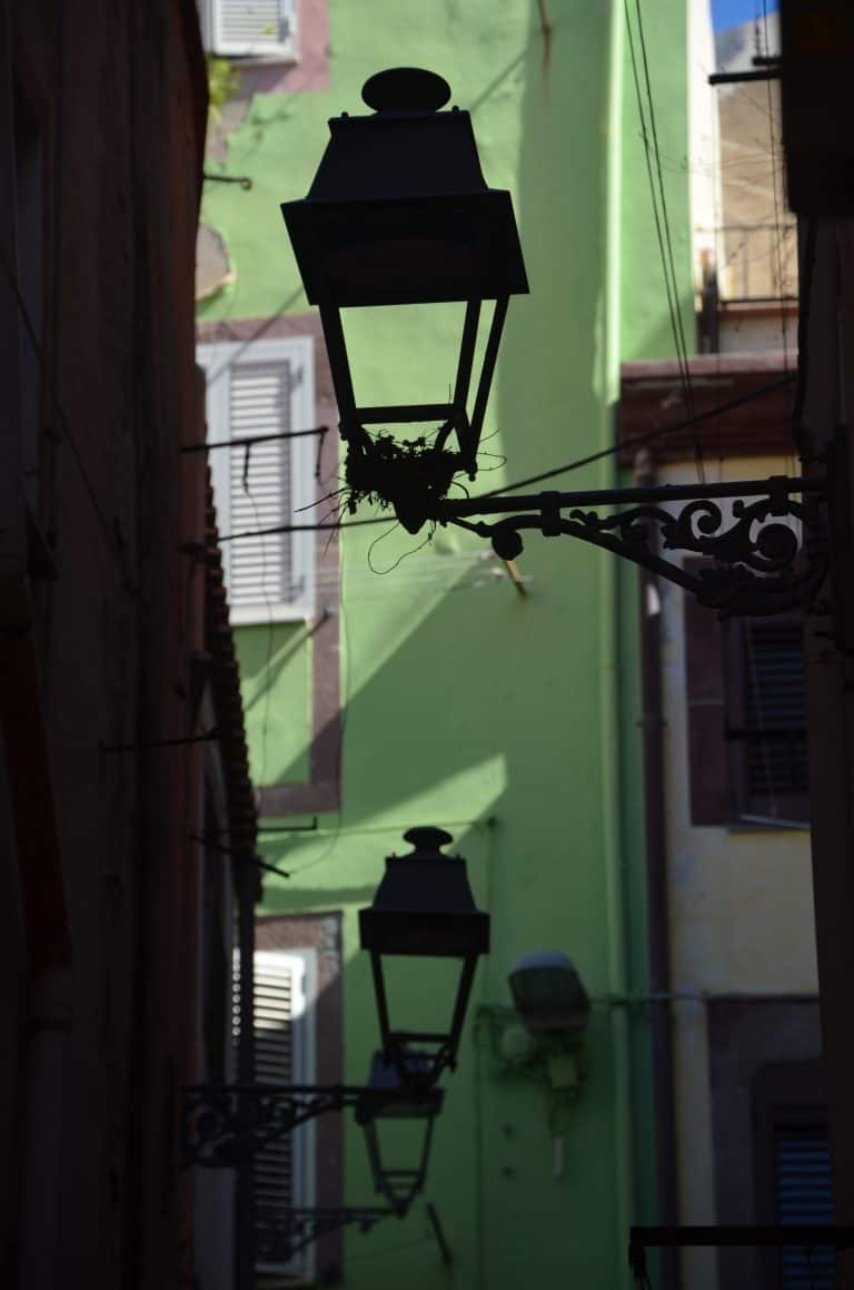Bosa 2020 (69) (Sardegna)