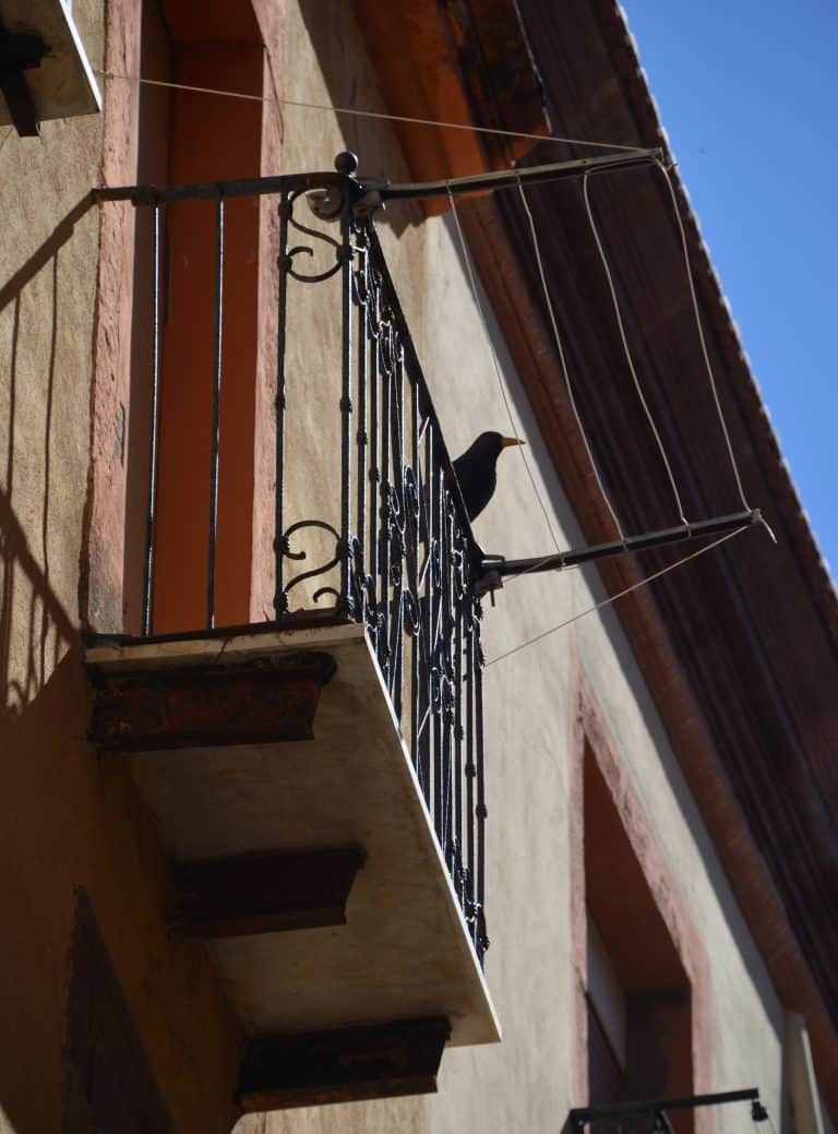 Bosa 2020 (70) (Sardegna)