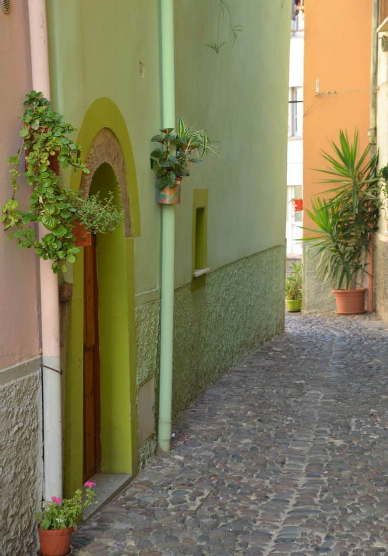 Bosa 2020 (72) (Sardegna)