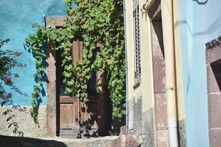 Bosa 2020 (8) (Sardegna)