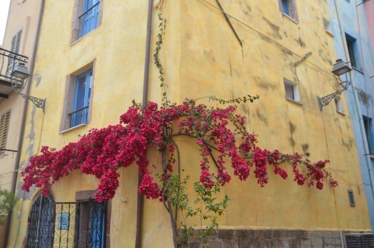 Bosa (3) (Sardegna)