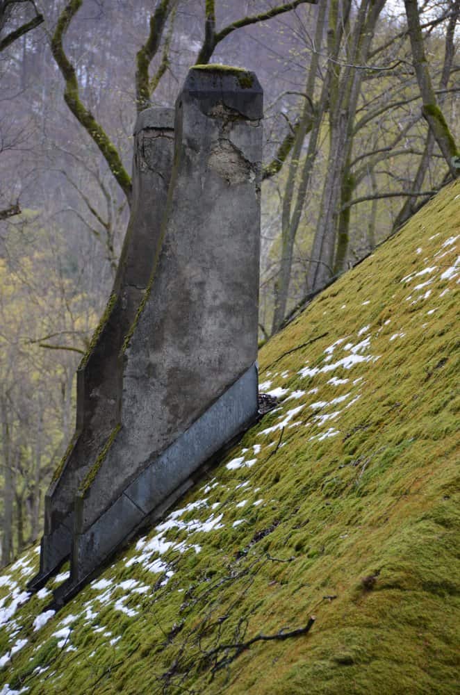 Romania, Bran – cumignolo, apr. 2014 (Bran)