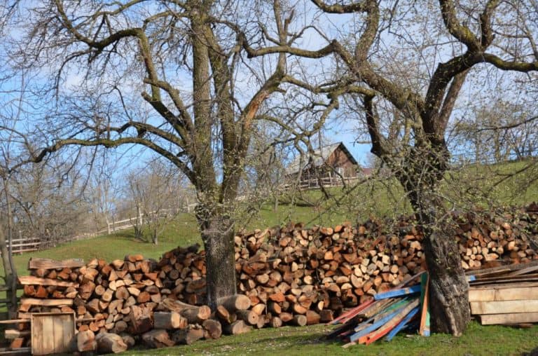 Romania, Bran – legna, apr. 2014 (Bran)