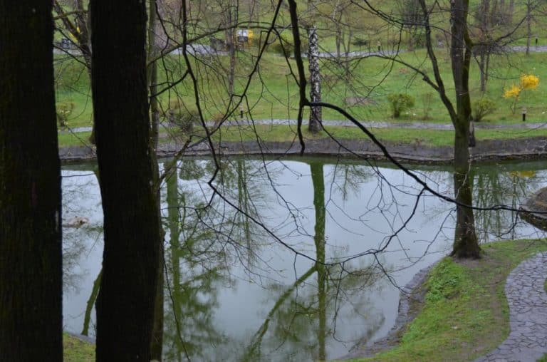 Romania, Bran – stagno, apr. 2014 (Bran)