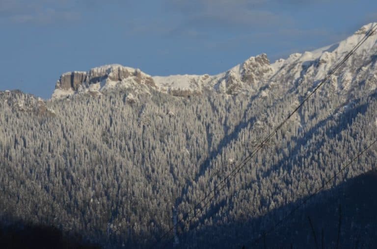 Romania, Bran – montagna, apr. 2014 (Bran)