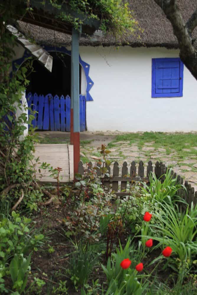 Romania, Bucarest – finestra blu e fiori, apr. 2014 (Bucarest)
