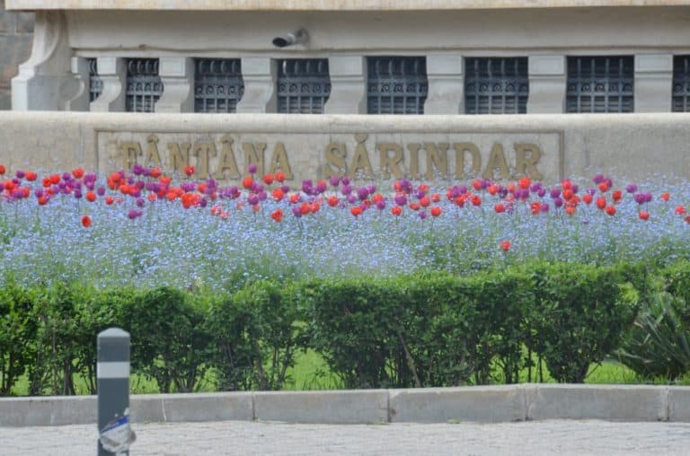 Romania, Bucharest – garden with flowers, Apr. 2014 (Bucharest)