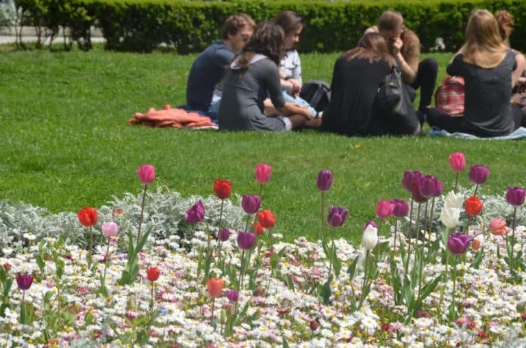 Romania, Bucharest – spring, Apr. 2014 (Bucharest)