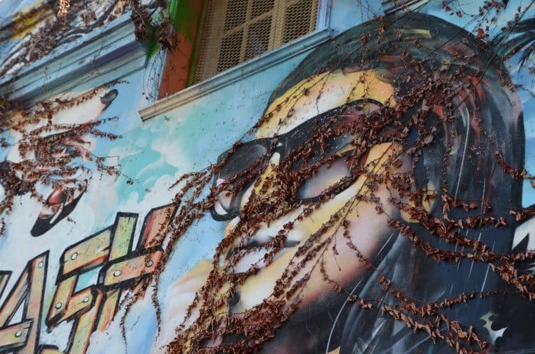 ブエノスアイレス, パレルモ地区、落書きツアー – サングラスの顔 2018Buenos Aires, Palermo, Graffiti Tour – face with sunglasses, Mar. 20183月 (Buenos Aires)