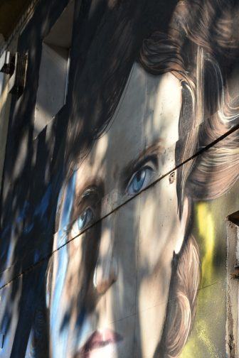 Buenos Aires, Palermo, Graffiti Tour – reflection of tourists, Mar. 2018