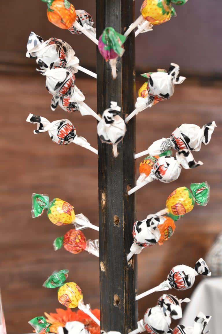 Buenos Aires, La Cabrera – tree of sweets, Mar.2018 (Buenos Aires)