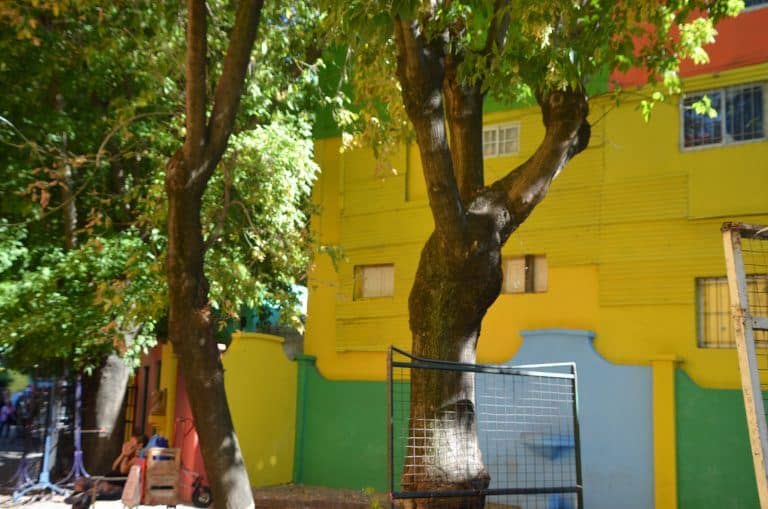 Buenos Aires, La Boca – trees, Mar.2018 (Buenos Aires)