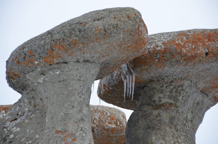 Romania, Busteni – icicles, Apr. 2014 (Sinaia)
