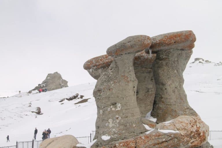 Romania, Busteni – interesting shape, Apr. 2014 (Sinaia)