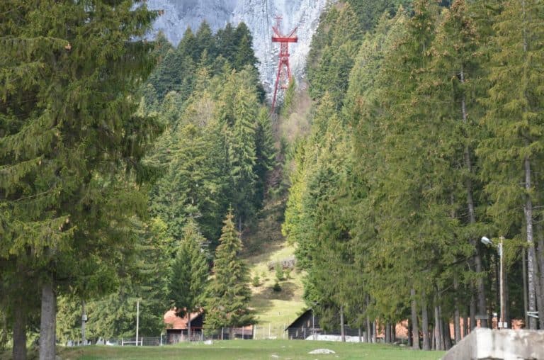 Romania, Busteni – green, Apr. 2014 (Sinaia)