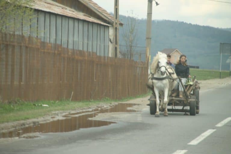 Romania, Busteni – on the road, Apr. 2014 (Sinaia)