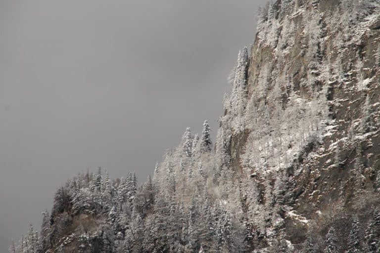 Romania, Busteni – grey background, Apr. 2014 (Sinaia)