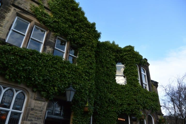 Buxton – edera, Nov.2015
