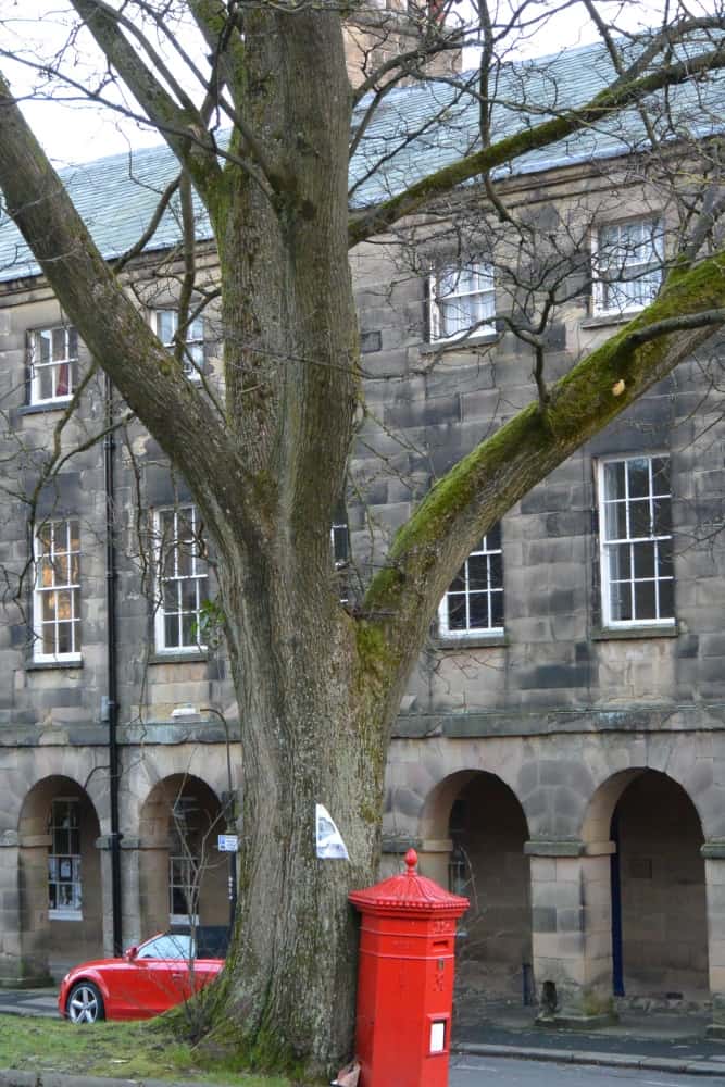 Buxton – rosso, Nov.2015