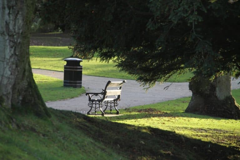 Buxton – luce sulla panchina, Nov.2015