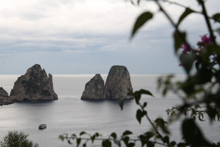 Capri – grass and rocks, Oct.2015 (Costa Amalfitana)