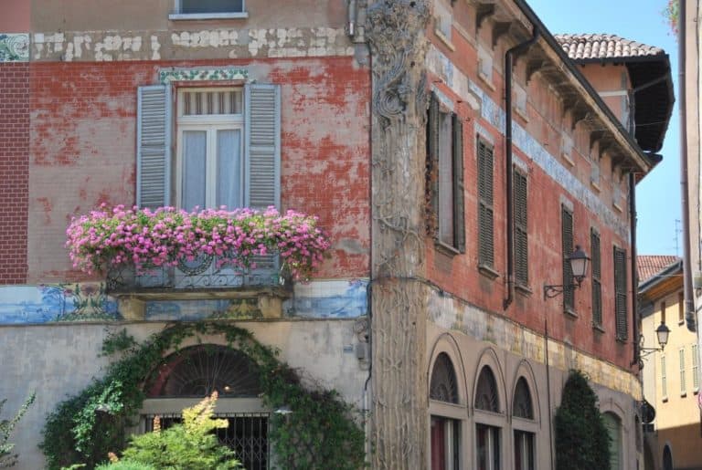 Italia, Caravaggio – rosa, agosto 2013 (Lombardia)
