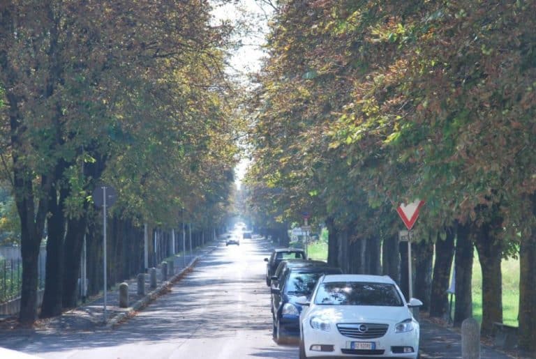 Italia, Castellone – viale alberato, agosto 2013 (Lombardia)