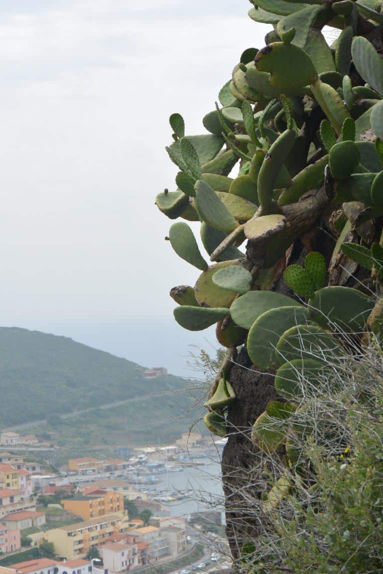Castelsardo (17) (Sardegna)