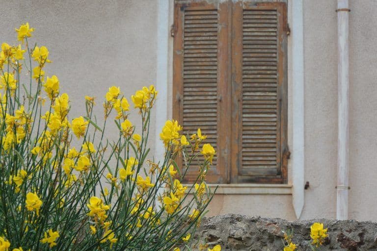 Castelsardo (19) (Sardegna)