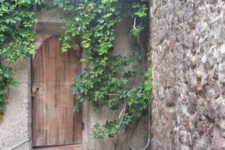 Castelsardo (21) (Sardegna)