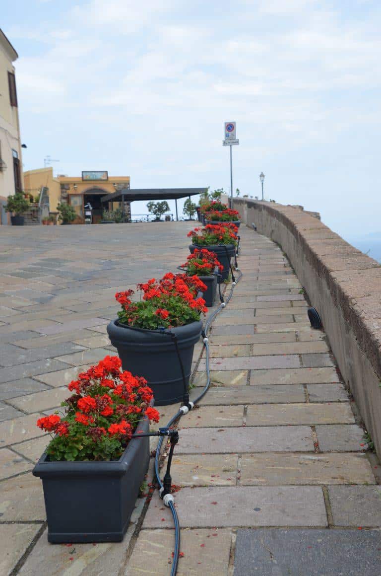 Castelsardo (3) (Sardegna)