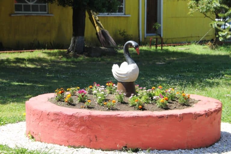 Chiloe-(48) (チロエ島)