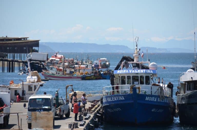 Chiloe-(50) (チロエ島)
