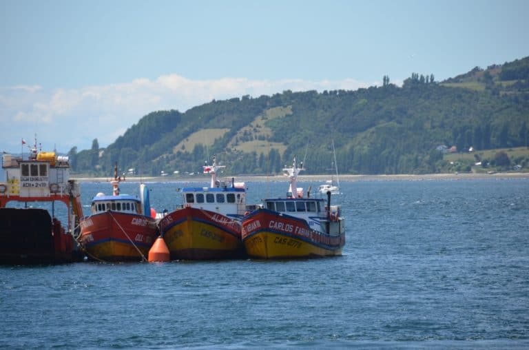 Chiloe-(51) (チロエ島)