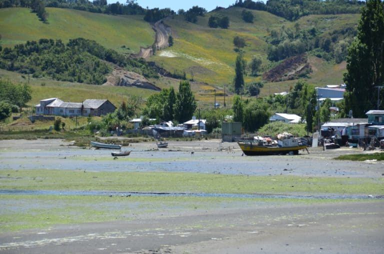 Chiloe-(53) (チロエ島)