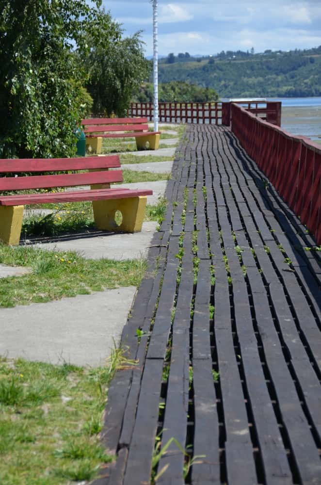 Chiloe-(54) (チロエ島)