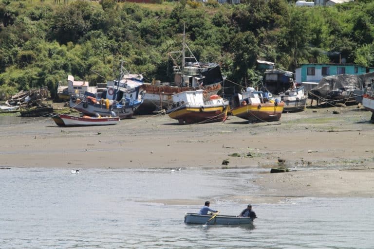 Chiloe-(58) (チロエ島)