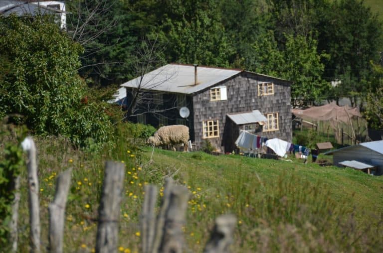 Chiloè – A tutta birra sulle strade di campagna