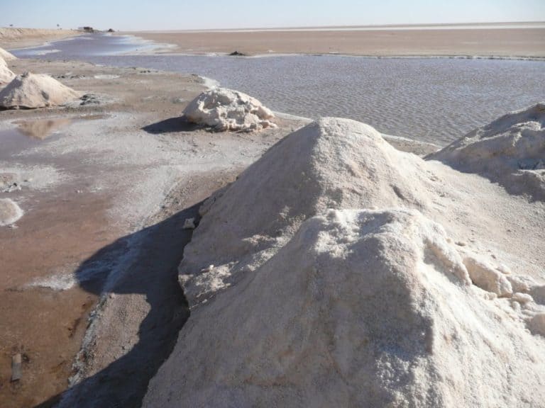 Tunisia, Chotto el Jerid – salt, Dec.2008 (Tozeur)