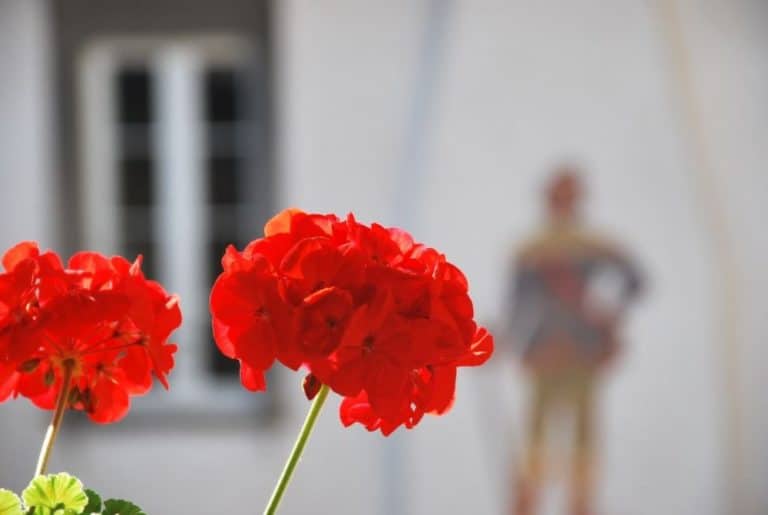 Italia, Clusone – rosso, agosto 2013 (Lombardia)