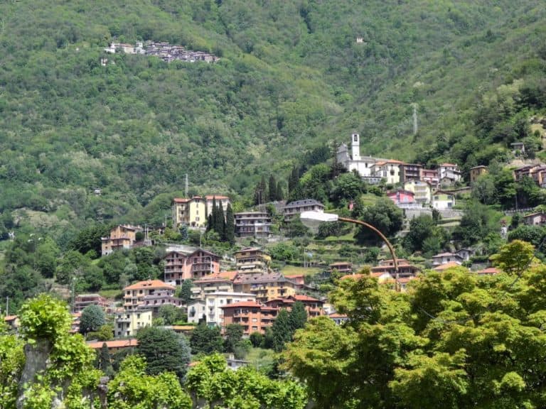Italia, Como – pinguini, gennaio 2013 (Lombardia)