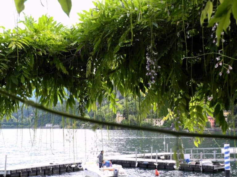 Italia, Lago di Como – ombra, mag. 2014 (Lombardia)
