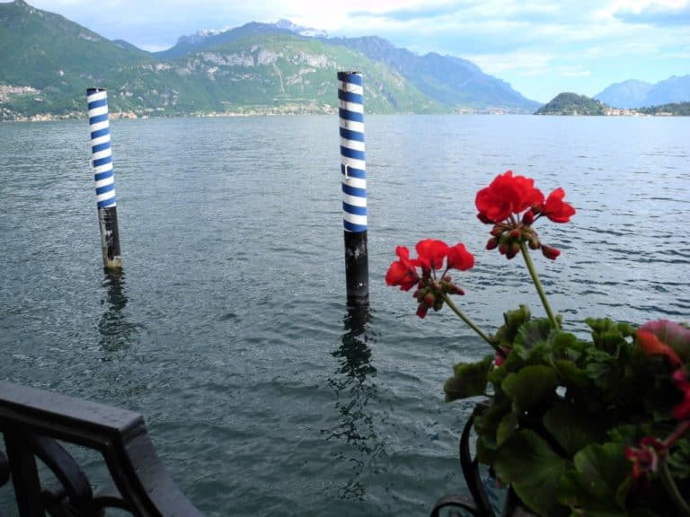 Italia, Lago di Como – fiori e pali, mag. 2014 (Lombardia)