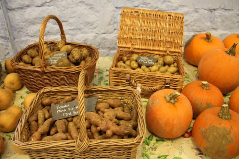 England, RococoGarden – harvest, Oct.2013 (Cotswolds)