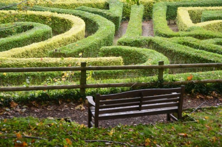 England, RococoGarden – maze, Oct.2013 (Cotswolds)