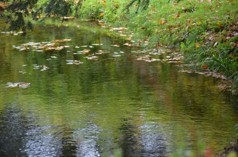 England, RococoGarden – pond, Oct.2013 (Cotswolds)
