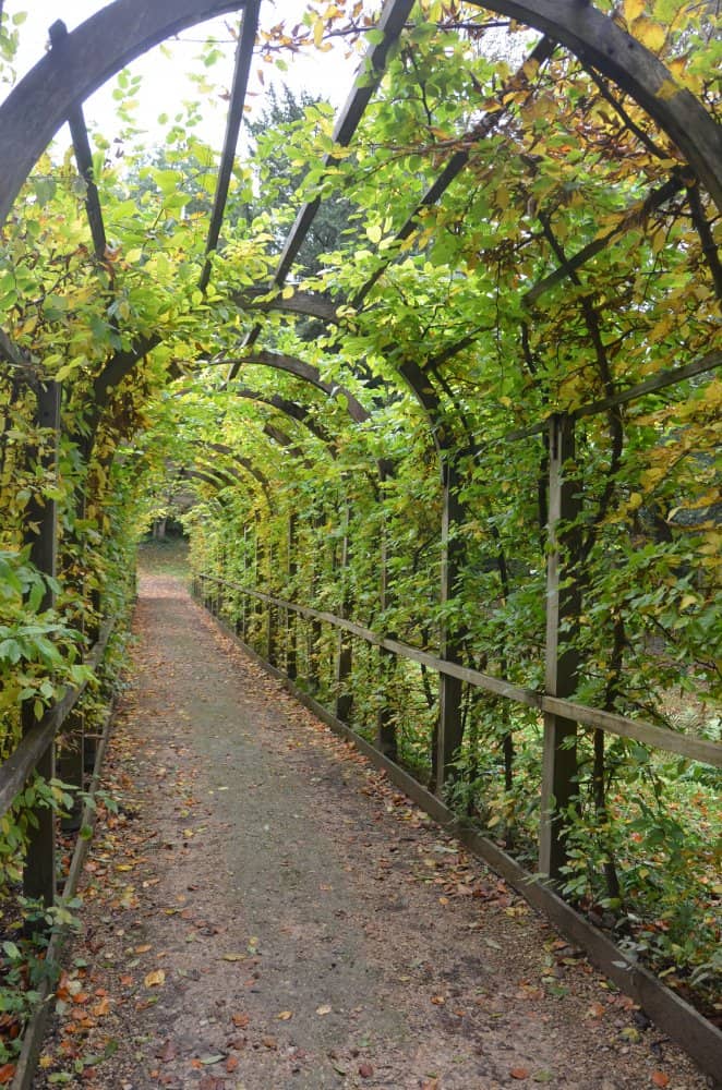England, RococoGarden – tunnel, Oct.2013 (Cotswolds)