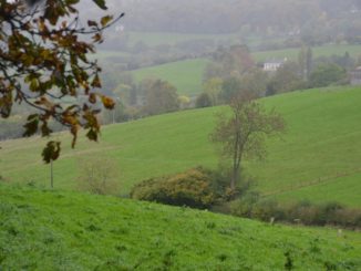 イングランド、ロココ庭園－収穫 2013年10月
