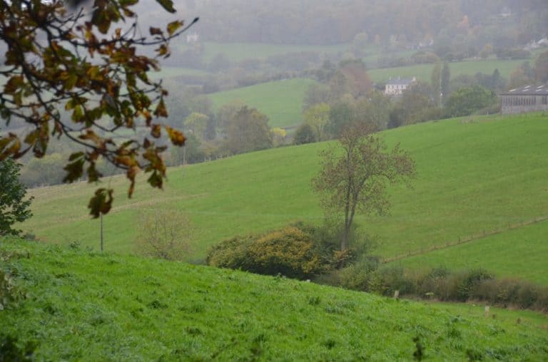 England, RococoGarden – countryside, Oct.2013 (Cotswolds)