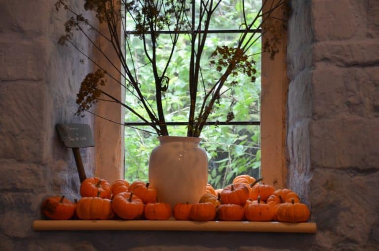 England, RococoGarden – pumpkins, Oct.2013 (Cotswolds)